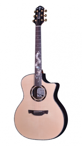 DG G-1000ce