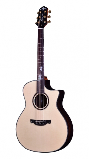 PG G-1000ce
