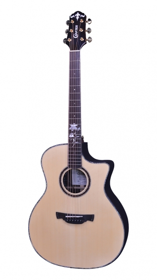 WF G-1000ce